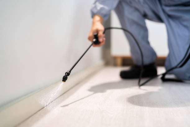 Bed Bug Pre-Treatment Preparation Assessment in Start