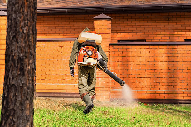 Bed Bug Clearance Verification and Documentation in Start